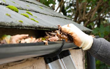 gutter cleaning Hinton St George, Somerset