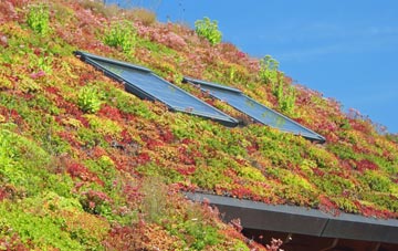 Hinton St George living roof systems